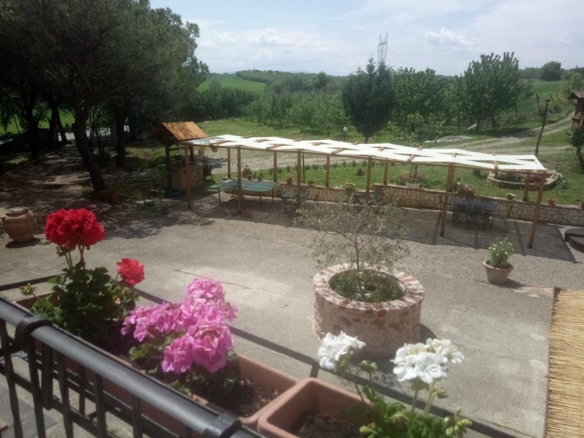 Agriturismo Colle Al Sole Apartment Castiglione del Lago Exterior photo